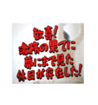 動く！探検隊テロップ（社畜編）（個別スタンプ：6）