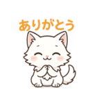 ツンねこのマイ6 毎日使えるネコのスタンプ（個別スタンプ：3）