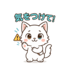ツンねこのマイ6 毎日使えるネコのスタンプ（個別スタンプ：23）