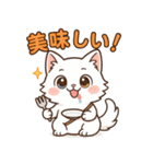 ツンねこのマイ6 毎日使えるネコのスタンプ（個別スタンプ：32）