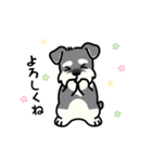 シュナウザーと毎日使えるゆるスタンプ（個別スタンプ：4）