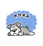 シュナウザーと毎日使えるゆるスタンプ（個別スタンプ：5）