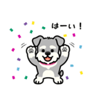 シュナウザーと毎日使えるゆるスタンプ（個別スタンプ：7）