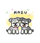 シュナウザーと毎日使えるゆるスタンプ（個別スタンプ：15）