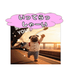 パグの激しい感情表現スタンプ！（個別スタンプ：2）