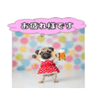パグの激しい感情表現スタンプ！（個別スタンプ：9）