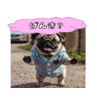 パグの激しい感情表現スタンプ！（個別スタンプ：11）