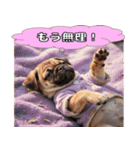 パグの激しい感情表現スタンプ！（個別スタンプ：29）