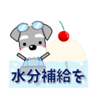 優しい大人の気づかいシュナウザー 夏編（個別スタンプ：4）