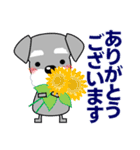 優しい大人の気づかいシュナウザー 夏編（個別スタンプ：11）