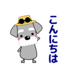 優しい大人の気づかいシュナウザー 夏編（個別スタンプ：13）