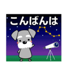 優しい大人の気づかいシュナウザー 夏編（個別スタンプ：14）