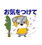 優しい大人の気づかいシュナウザー 夏編（個別スタンプ：17）