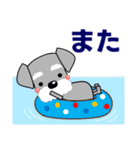 優しい大人の気づかいシュナウザー 夏編（個別スタンプ：20）