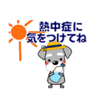 優しい大人の気づかいシュナウザー 夏編（個別スタンプ：22）