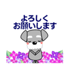 優しい大人の気づかいシュナウザー 夏編（個別スタンプ：26）
