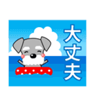 優しい大人の気づかいシュナウザー 夏編（個別スタンプ：29）
