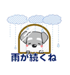 優しい大人の気づかいシュナウザー 夏編（個別スタンプ：32）