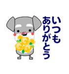 優しい大人の気づかいシュナウザー 夏編（個別スタンプ：36）