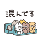 病院とうさちゃん（個別スタンプ：5）