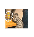 ひなvol.3（個別スタンプ：4）