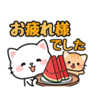 毎年使える♪夏の日常 #にゃあすけ（個別スタンプ：4）