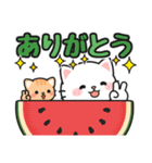 毎年使える♪夏の日常 #にゃあすけ（個別スタンプ：17）