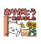 毎年使える♪夏の日常 #にゃあすけ（個別スタンプ：20）