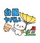 毎年使える♪夏の日常 #にゃあすけ（個別スタンプ：24）
