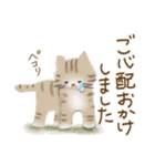 毎日ほっこり♡送りやすいスタンプ（個別スタンプ：20）