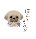 毎日ほっこり♡送りやすいスタンプ（個別スタンプ：33）