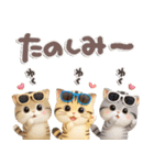 ねこちぃず♡夏スタンプ（個別スタンプ：23）