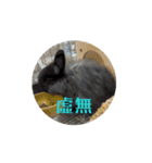 うさぎの月夜①（個別スタンプ：5）