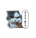 ロアちゃんその1（個別スタンプ：13）