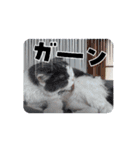 ロアちゃんその1（個別スタンプ：14）