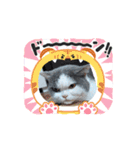ロアちゃんその1（個別スタンプ：15）