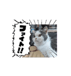 ロアちゃんその1（個別スタンプ：16）