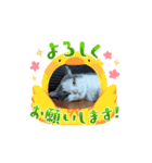 ロアちゃんその3（個別スタンプ：1）