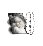 ロアちゃんその3（個別スタンプ：12）