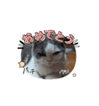 ロアちゃんその3（個別スタンプ：13）