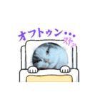 ロアちゃんその3（個別スタンプ：15）