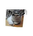 ロアちゃんその3（個別スタンプ：16）