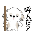 シーズー犬 2025「飛び出す」No.2（縦長）（個別スタンプ：1）