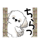 シーズー犬 2025「飛び出す」No.2（縦長）（個別スタンプ：2）