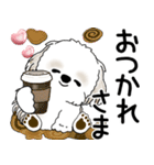 シーズー犬 2025「飛び出す」No.2（縦長）（個別スタンプ：3）