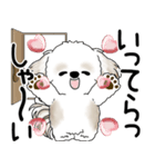 シーズー犬 2025「飛び出す」No.2（縦長）（個別スタンプ：4）