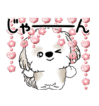 シーズー犬 2025「飛び出す」No.2（縦長）（個別スタンプ：5）