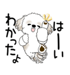 シーズー犬 2025「飛び出す」No.2（縦長）（個別スタンプ：7）
