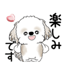 シーズー犬 2025「飛び出す」No.2（縦長）（個別スタンプ：8）