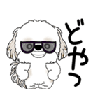 シーズー犬 2025「飛び出す」No.2（縦長）（個別スタンプ：9）